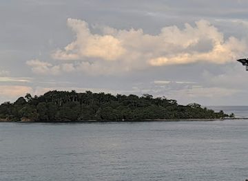 costa-rica/caribbean-coast/landmark/veragua-rainforest