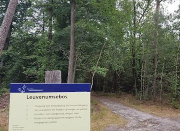 netherlands/veluwe-national-park/landmark/leuvenum-forest
