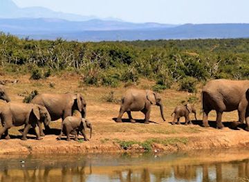 malawi/majete-wildlife-reserve/landmark/majete-wildlife-reserve-helipad