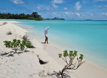 maldives/thoddoo-island/landmark/amazing-trip-thoddoo