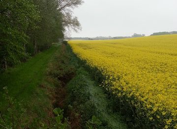 denmark/kalundborg/landmark/tra-cirklerne-ved-birkendegard