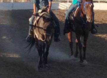 arizona/graham-county/landmark/graham-parks-recreation-office