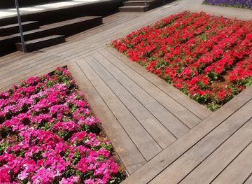 israel/netanya/ir-yamim/landmark/tsiyon-square