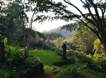 zimbabwe/bvumba-botanical-gardens/landmark/bvumba-mountains