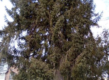 rhode-island/providence-county/landmark/north-end-historic-district