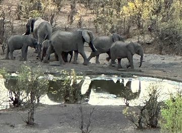 zambia/victoria-falls-area/landmark/victoria-falls-lodges
