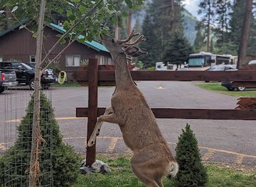 oregon/wallowa-county/landmark/park-at-the-river