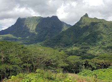 french-polynesia/raiatea/landmark/raiatea-quad