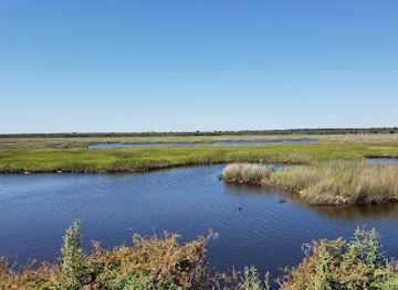 florida/big-bend/landmark/big-bend-wildlife-management-area-hickory-mound-unit
