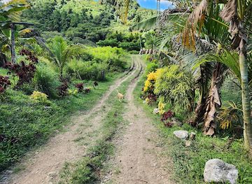 fiji/taveuni/landmark/naihehe-cave