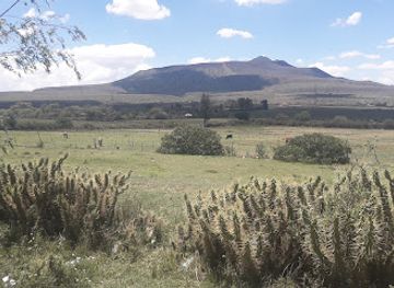 kenya/mount-longonot/landmark/longonot-volcano-crater