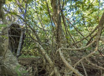 guam/mount-jumullong-manglo/landmark/pago-bay-bridge