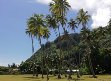 french-polynesia/moorea/landmark/snack-coco-d-isle