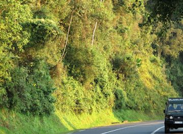 rwanda/akagera-national-park/landmark/primate-safaris