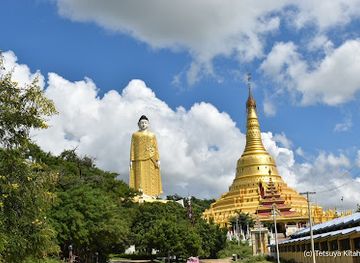 myanmar-burma/upper-myanmar/landmark/maha-bodhi-ta-htaung-standing-buddha