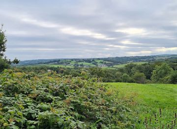 united-kingdom/carmarthenshire/landmark/green-castle-wood