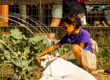 colorado/gunnison/landmark/mountain-roots-food-project