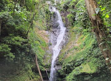 trinidad-and-tobago/maracas-bay/landmark/rincon-waterfall