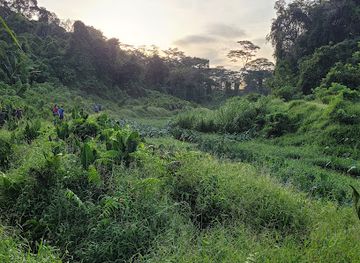 singapore/bukit-batok/landmark/clementi-forest