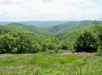 bulgaria/southwest-bulgaria/landmark/strandzha