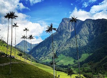 colombia/cocora-valley/landmark/cocoratours-valle-del-cocora