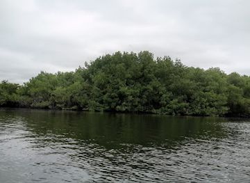 ecuador/guayas-region/landmark/reserva-ecologica-manglar-churute