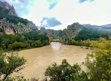 france/ardèche-gorges/landmark/grotte-aven-forestiere-grotte-en-ardeche