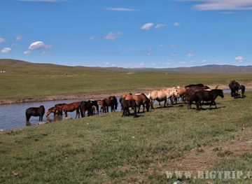 mongolia/mongolian-manchurian-grassland/landmark/erdene-zuu-monastery