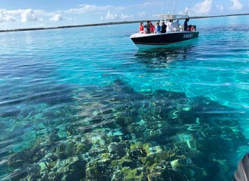 the-bahamas/eleuthera-island/landmark/da-salty-pig-adventures