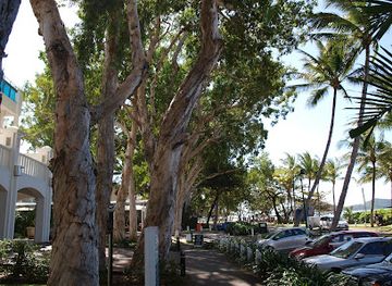 australia/cairns/palm-cove/landmark/palm-beach
