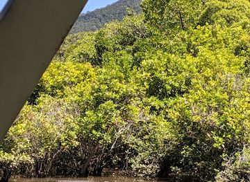 australia/cape-tribulation/landmark/cape-tribulation-wilderness-cruises