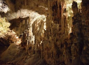 slovenia/skocjan-caves/landmark/naravni-rezervat-skocjanski-zatok