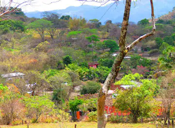 EL RODEO