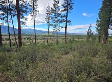 oregon/central-oregon/landmark/deschutes-national-forest