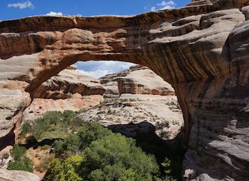 utah/canyonlands/landmark/sipapu-bridge