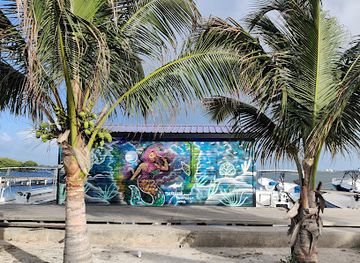 belize/ambergris-caye/landmark/seaduced-by-belize