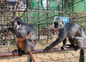 cambodia/kampong-speu/landmark/bear-care-tour