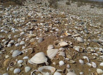 azerbaijan/absheron-peninsula/landmark/absheron-peninsula