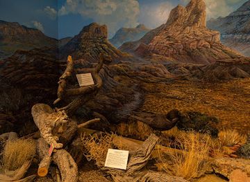 utah/book-cliffs/landmark/museum-of-the-san-rafael