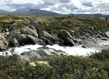 norway/oppdal/landmark/oppdal-safari