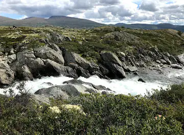 Oppdal Safari