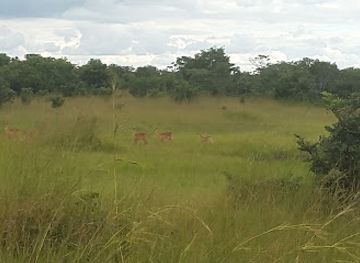 malawi/kasungu-plain/landmark/kasungu-national-park