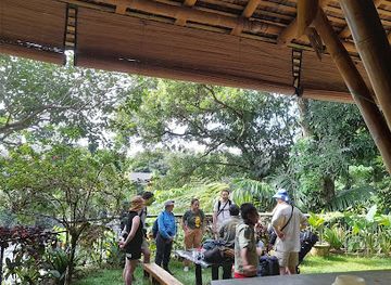 indonesia/bukit-lawang/landmark/sumatra-jungle-trek