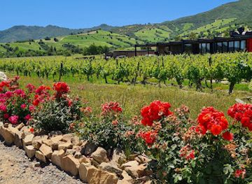 chile/aconcagua-valley/landmark/fuegos-de-apalta
