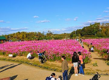 japan/izumi/landmark/izumi-recycle-environment-park