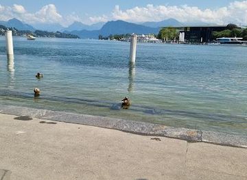 switzerland/western-switzerland/landmark/schwanenpl