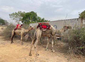 chad/n-djamena/landmark/le-nid-du-dromadaire
