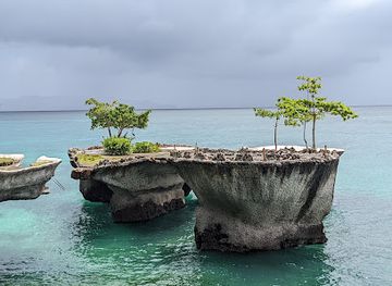 philippines/boracay/diniwid-beach/landmark/dinibeach-bar-and-restaurant