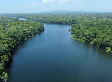 costa-rica/tortuguero-national-park/landmark/tortuguero-nature-native-guides