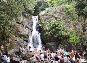 puerto-rico/el-yunque-national-forest/landmark/cascada-la-mina